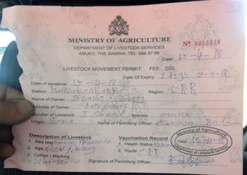 Sheep Transport Permit